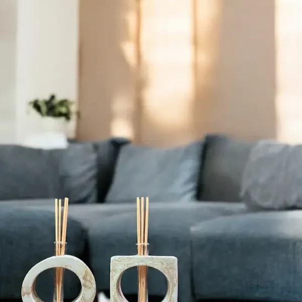 reed diffuser img 2