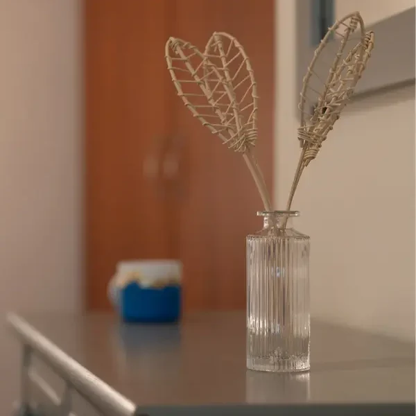 reed diffuser img 3