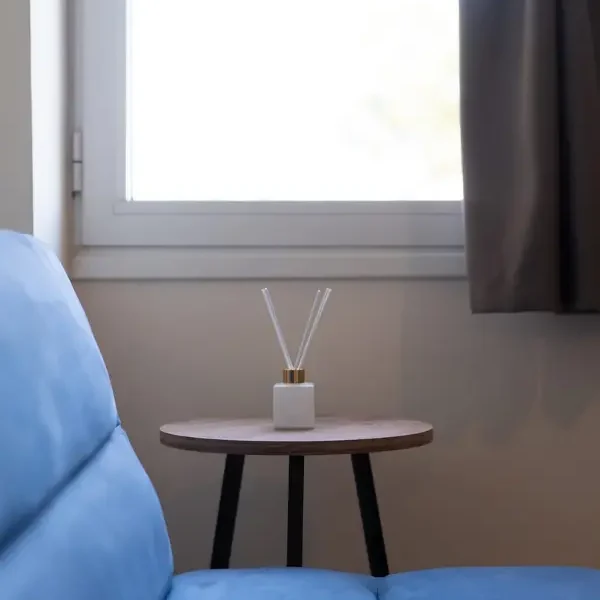 reed diffuser img 4